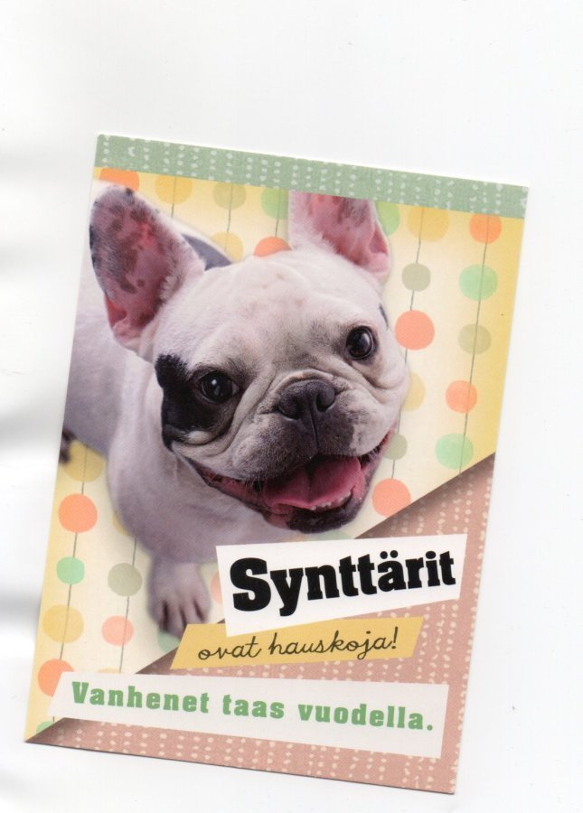 °°SYNTTÄRIT OVAT HAUSKOJA!....°° -KORTTI / Paletti