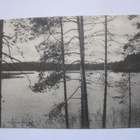 VANHA Postikortti Evo Lammi Hämeenlinna 1913 - pikkukuva 1