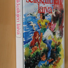 Enid Blyton : Seikkailujen laiva ( 8.p. 1987 ) - pikkukuva 1