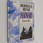 Hermann Hesse : Sanat kuin taika - pikkukuva 1
