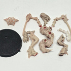 WH40K - Tyranid Warrior (Rogue Trader) [S194] - pikkukuva 1
