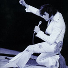 ELVIS PRESLEY:WALK A MILE IN MY SHOES 5CD - pikkukuva 1