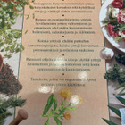 McHOY - WESTLAND: YRTTIAAPINEN - pikkukuva 2