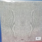PAYSAGE D'HIVER - KRISTALL & ISA REISSUE M-/M- LP - pikkukuva 2