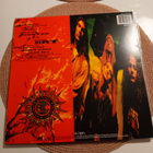 Alice in chains - Dirt LP. NM 2009 - pikkukuva 2