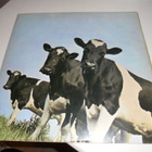Pink Floyd - Atom Heart Mother(UK orig) - pikkukuva 2