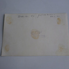 Helsinki, Hakaniemi 24.6.1950, SDNL:n 5-vuotisjuhlakulkue - pikkukuva 2