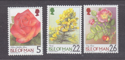 Isle of Mann 1998 Kukkia