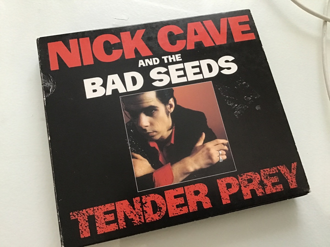 Nick Cave and the bad seeds . Tender prey CD / DVD