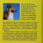 Jorma Kurvinen : Rolf, saaristokoira - Otava 1.p 1990 - pikkukuva 2