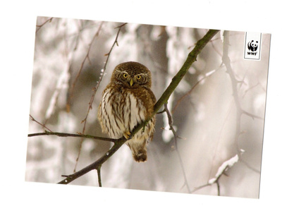 °°VARPUSPÖLLÖ°° -KORTTI /WWF (Paletti)