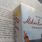 Aleksis Kiven elämä (VHS) - pikkukuva 2