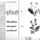 Terveys n:o 10 1962 Mistähän sinappia saadaan? - pikkukuva 5