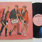 Teddy & The Tigers Burn It Up LP Poko Rekords PÄLP 4 - pikkukuva 1
