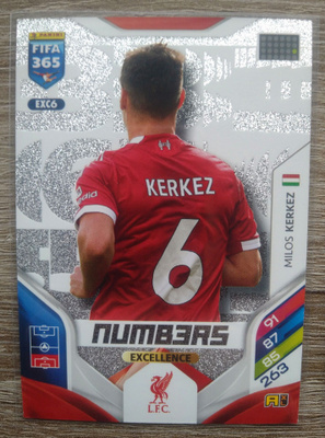Kerkez numbers