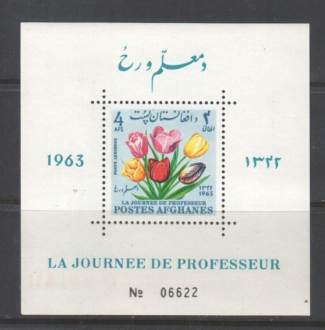 Afganistan 1963 Kukkia blokki.
