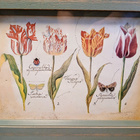 Leena Airikkala, Pentik - pikkukuva 3