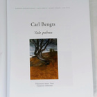 Carl Bengts "Valo puhuu" - pikkukuva 4
