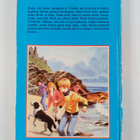 Enid Blyton : Viisikko karkuteillä - pikkukuva 2
