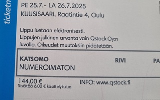 Qstock 2 päivän lippu