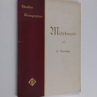H. Knackfuss : Michelangelo - pikkukuva 1