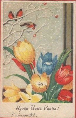 G Forsström Tulppaanit ja linnut