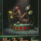 THE FLOWER KINGS: 2-dvd + cd - pikkukuva 1