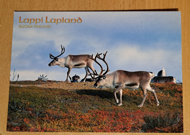Poroja tunturissa, kulkenut 2003, Kaunispää-leima