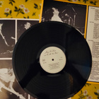Jerry Lee Lewis 2LP - pikkukuva 2