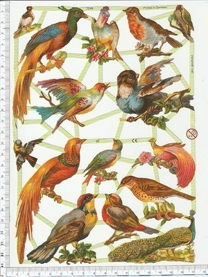 ~ EF 7246, eksoottisia lintuja-arkki ~