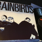 Rainbirds 1987 Mercury lp inn Ger ja Mint! - pikkukuva 1
