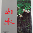 Gunter Nitschke : Japanese gardens : right angle and natu... - pikkukuva 2