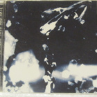 Polanski • Between This And Hate CD - pikkukuva 1