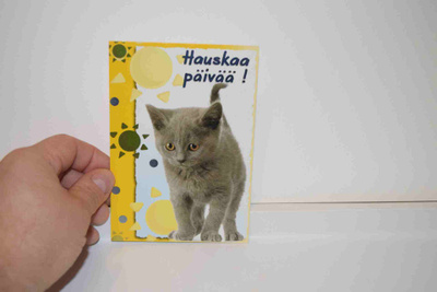 Postikortti (K) kissa
