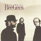 Bee Gees • Still Waters CD - pikkukuva 1