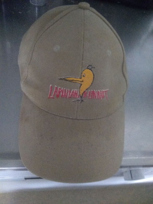 Lapinlahden Linnut lippalakki