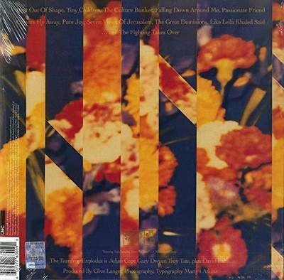 TEARDROP EXPLODES - WILDER