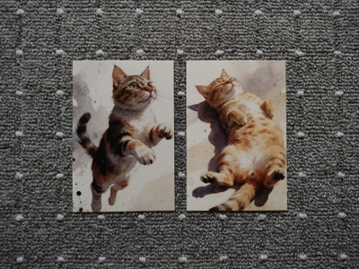 ~Kissa kortti~ 2kpl