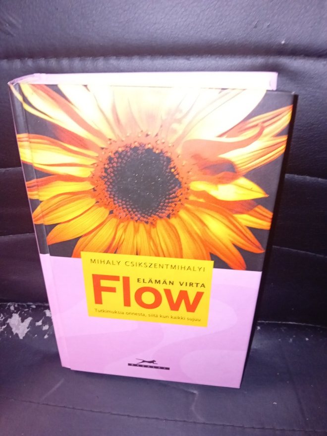 Csikszentmihalyi : Flow - elämän virta  ( SIS POSTIKULU )