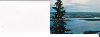 Koli b688