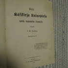 Svanljung, Johan Kristian,  Uusi käsikirja lainopissa 1874 - pikkukuva 2