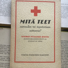 Mitä teet sairauden tai tapaturman sattuessa? (nid.) - pikkukuva 1