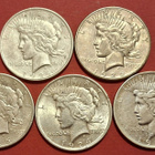 5 x USA Peace Dollar 1922, 1924, 1925, 1926, 1927.  (KD4) - pikkukuva 1
