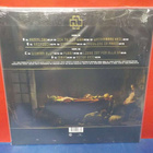 Rammstein – Liebe Ist Fur Alle Da UUSI "SS" 2LP - pikkukuva 2