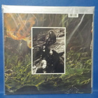 GRAVE - INTO THE GRAVE M-/M- GER -91 1ST PRESS LP - pikkukuva 2