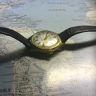 Kultableiti runkoinen Timex - pikkukuva 3