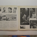 Elvis Presley Golden Story Vol 1. Japani LP SRA-5010 GF - pikkukuva 5