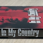 John Boorman: IN MY COUNTRY (2004) Samuel L. Jackson - pikkukuva 3