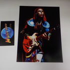 DAVE HILL  ( SLADE ) NIMMARI - pikkukuva 1