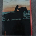 Astrid Lindgren PEPPI PITKÄTOSSU KARKUTEILLÄ (1. painos) - pikkukuva 2
